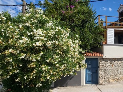 Apartment One bedroom apartment near beach Bibinje, Zadar A-16752-a - Outdoor photo 12