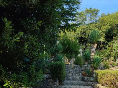 Apartment One bedroom apartment with balcony and sea view Jadranovo, Crikvenica A-16739-a - Outdoor photo 6
