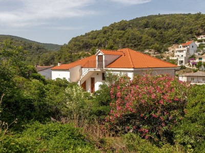 Apartment Three bedroom apartment with terrace and sea view Povlja, Brač A-16792-a - Outdoor photo 8