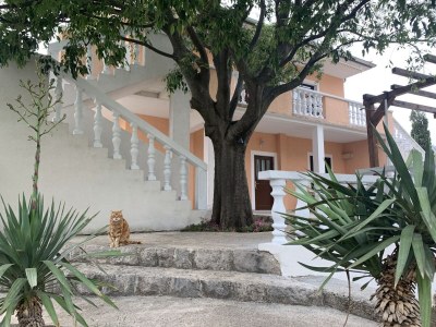 Apartment Two bedroom apartment with terrace and sea view Seline, Paklenica A-17955-a - Outdoor photo 12