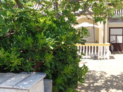 Apartment One bedroom apartment with terrace Vir A-17069-a - Outdoor photo 7