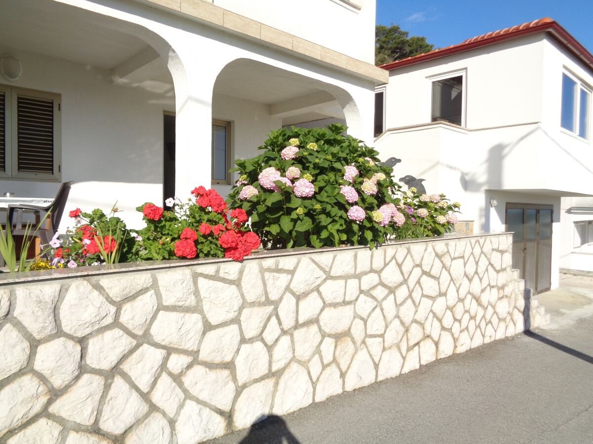Apartment One bedroom apartment with terrace and sea view Lopar, Rab A-17103-d - Outdoor photo 2