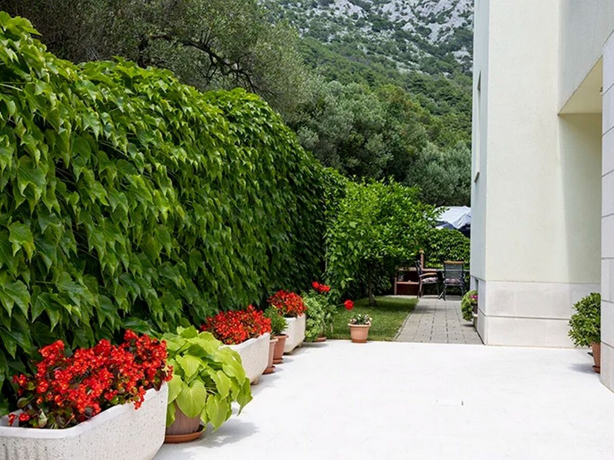 Apartment Two bedroom apartment with terrace and sea view Igrane, Makarska A-17292-b - Outdoor photo 3