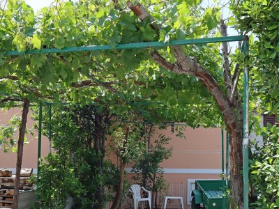 Apartment Studio flat with air-conditioning Selce, Crikvenica AS-18195-a - Outdoor photo 5