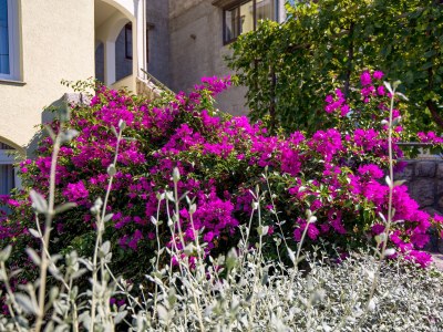 Apartment Two bedroom apartment with terrace Kraljevica A-17589-a - Outdoor photo 8