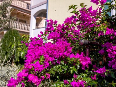 Apartment One bedroom apartment with balcony Kraljevica A-17589-b - Outdoor photo 9