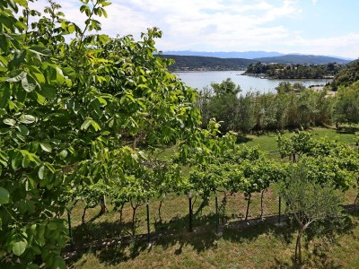 Apartment One bedroom apartment near beach Supetarska Draga - Gonar, Rab A-18650-b - Outdoor photo 30