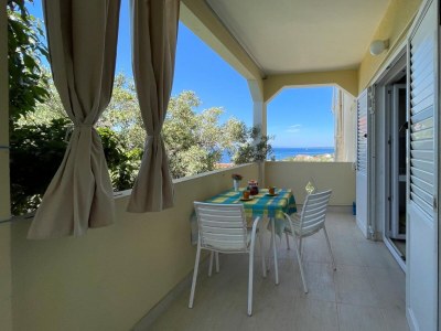 Apartment One bedroom apartment with terrace and sea view Lun, Pag A-19358-a in Lun - Apartment