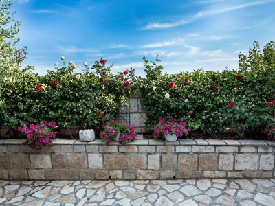 Holiday house Four-bedroom house with terrace and sea view Mravince, Split K-19827 - Outdoor photo 13