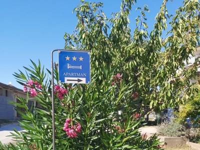 Apartment Two bedroom apartment with terrace and sea view Rovinj A-19183-b - Outdoor photo 3