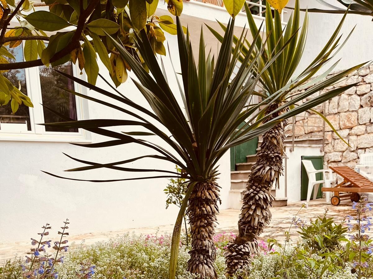 Apartment Two bedroom apartment with balcony Zečevo, Rogoznica A-20020-b - Outdoor photo 4