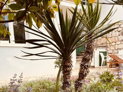 Apartment Two bedroom apartment with balcony Zečevo, Rogoznica A-20020-b - Outdoor photo 4