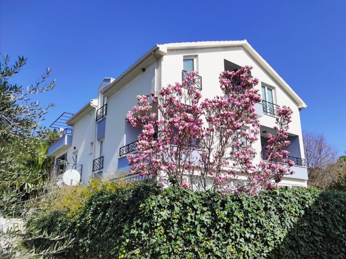 Apartment One bedroom apartment with terrace Orebić, Pelješac A-20031-a - Outdoor photo 2