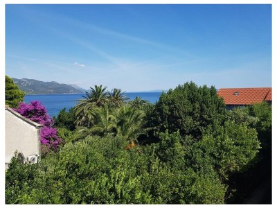 Apartment Two bedroom apartment with terrace Orebić, Pelješac A-20031-d - Outdoor photo 21