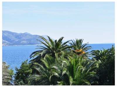 Apartment Two bedroom apartment with terrace Orebić, Pelješac A-20031-d - Outdoor photo 22