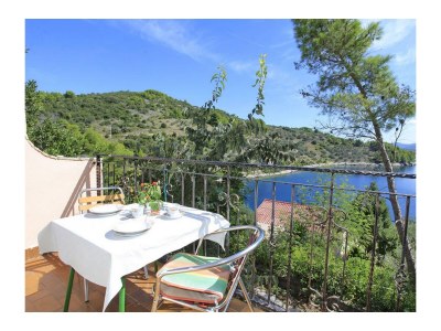 Holiday house Comfortable and spacious house with terrace and sea view Cove Mikulina Luka, Korčula K-20116 - Outdoor photo 48