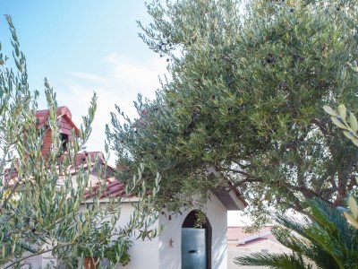 Apartment Three bedroom apartment with terrace and sea view Rogoznica A-20142-a - Outdoor photo 9