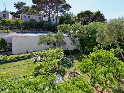 Apartment Two bedroom apartment with terrace and sea view Rab A-20222-b - Outdoor photo 31