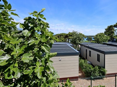 Apartment Two bedroom apartment with terrace and sea view Rab A-20222-c - Outdoor photo 30