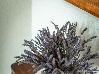 Apartment Two bedroom apartment with terrace and sea view Kanica, Rogoznica A-20298-a - Outdoor photo 12