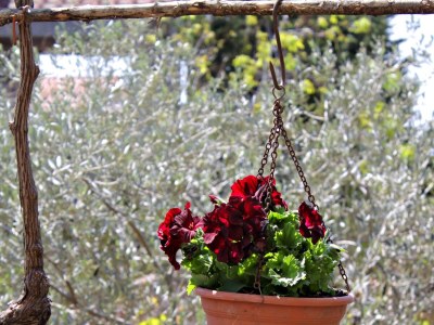 Apartment Two bedroom apartment with terrace and sea view Krk A-9718-a - Outdoor photo 8