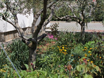 Apartment Two bedroom apartment with terrace and sea view Krk A-9718-a - Outdoor photo 9