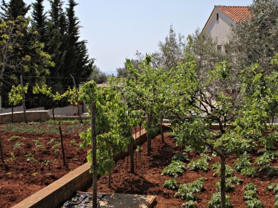 Apartment Two bedroom apartment with terrace and sea view Krk A-9718-a - Outdoor photo 10