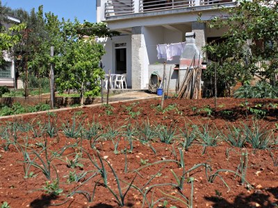 Apartment Two bedroom apartment with terrace and sea view Krk A-9718-a - Outdoor photo 11