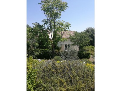 Holiday house Le Néflier - Gîtes Le Mas de Molines - Outdoor photo 10