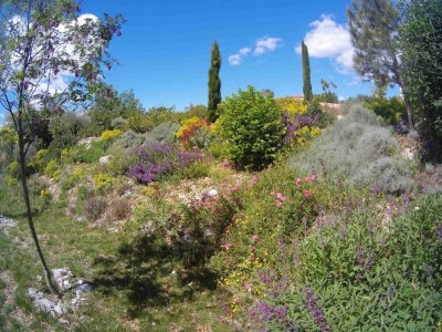 Holiday house Le Néflier - Gîtes Le Mas de Molines - Environment photo 18