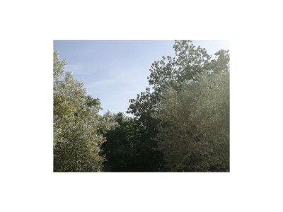 Holiday house Le Néflier - Gîtes Le Mas de Molines - Environment photo 19