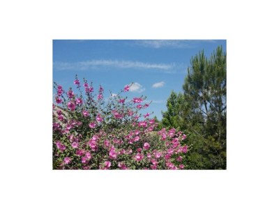 Holiday house Le Néflier - Gîtes Le Mas de Molines - Environment photo 22