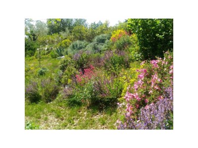 Holiday house Le Néflier - Gîtes Le Mas de Molines - Environment photo 23