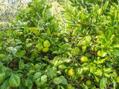 Villa Happy Hideaway Villa by Aneo Travel - Outdoor photo 28