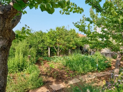 Holiday room with terrace Veli Lošinj, Lošinj S-21045-h - Outdoor photo 14