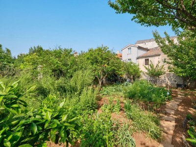 Holiday room with terrace Veli Lošinj, Lošinj S-21045-h - Outdoor photo 15
