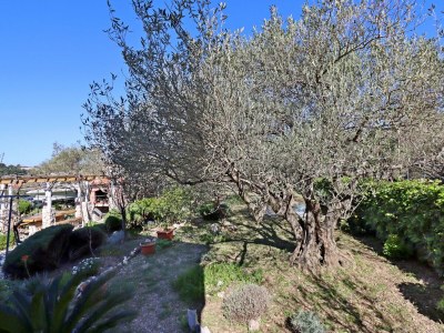 Apartment Studio flat with terrace Mundanije, Rab AS-21543-a - Outdoor photo 25
