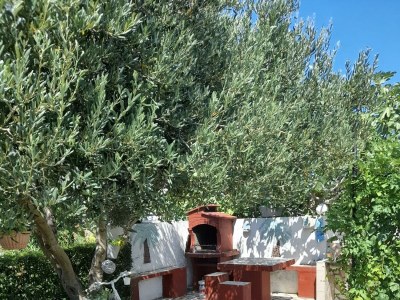 Apartment One bedroom apartment with balcony and sea view Lopar, Rab A-21881-b - Outdoor photo 8