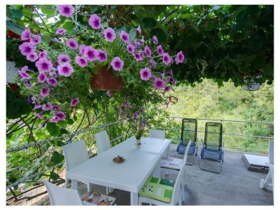 Apartment One bedroom apartment near beach Cove Osobjava, Pelješac A-21927-a - Outdoor photo 18