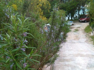 Apartment One bedroom apartment near beach Cove Osobjava, Pelješac A-21927-b - Outdoor photo 6