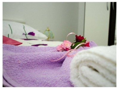 Apartment One bedroom apartment near beach Cove Osobjava, Pelješac A-21927-c - Outdoor photo 16