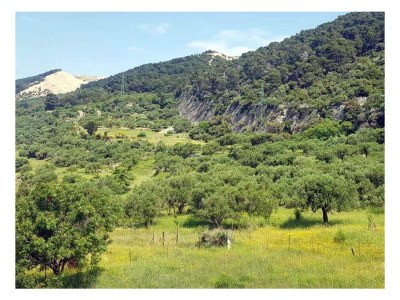 Apartment One bedroom apartment with terrace and sea view Barbat, Rab A-22358-b - Outdoor photo 23