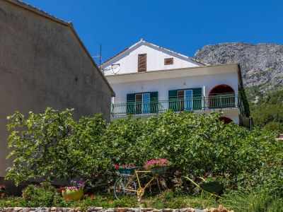 Apartment Two bedroom apartment with terrace and sea view Brist, Makarska A-22463-a - Outdoor photo 3