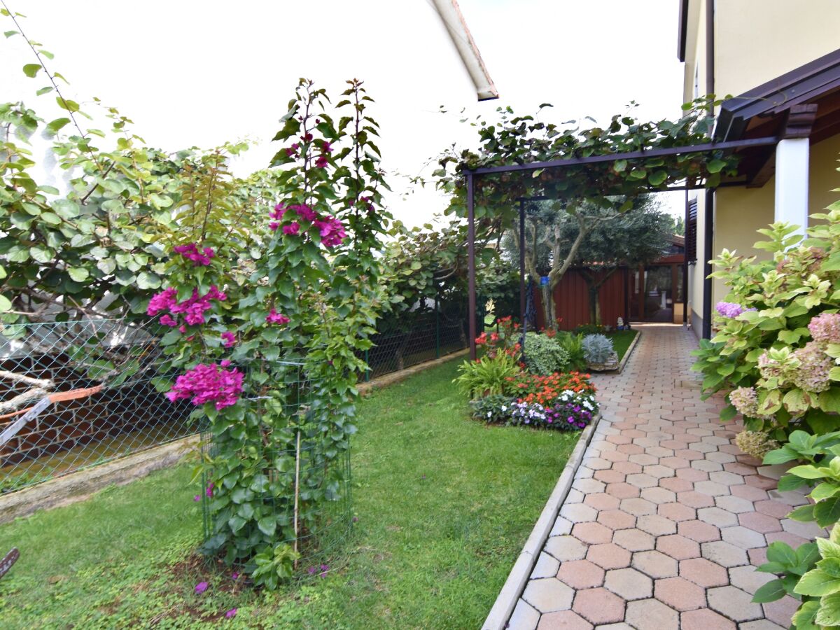 Apartment One bedroom apartment with balcony Umag A-22464-a - Outdoor photo 3