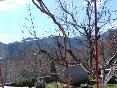 Holiday house Two bedroom house with terrace Srijane, Zagora K-22621 - Outdoor photo 16