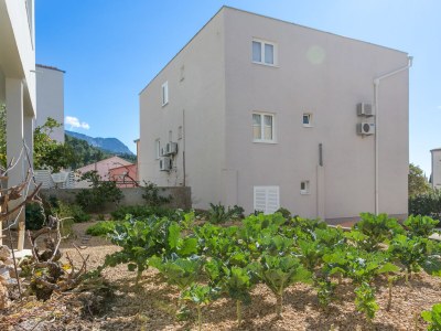 Apartment Two bedroom apartment with balcony Tučepi, Makarska A-22936-a - Outdoor photo 6