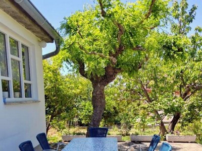 Apartment Three bedroom apartment with terrace Barbat, Rab A-23300-a - Outdoor photo 14