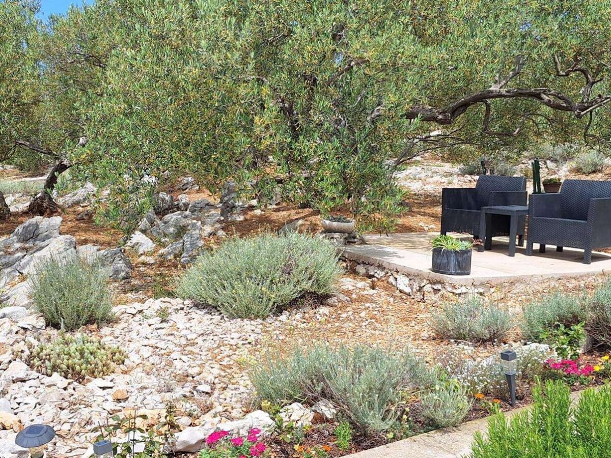 Holiday house Two bedroom house near beach Cove Druce, Pašman K-23356 - Outdoor photo 3