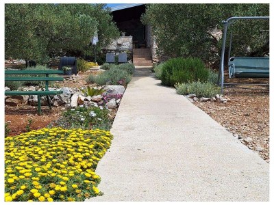 Holiday house Two bedroom house near beach Cove Druce, Pašman K-23356 - Outdoor photo 4