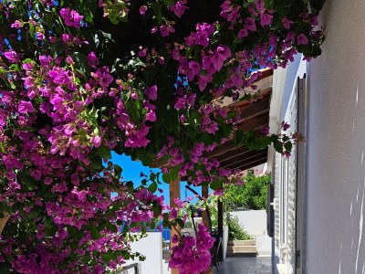 Apartment Two bedroom apartment near beach Ubli, Lastovo A-23365-a - Outdoor photo 21